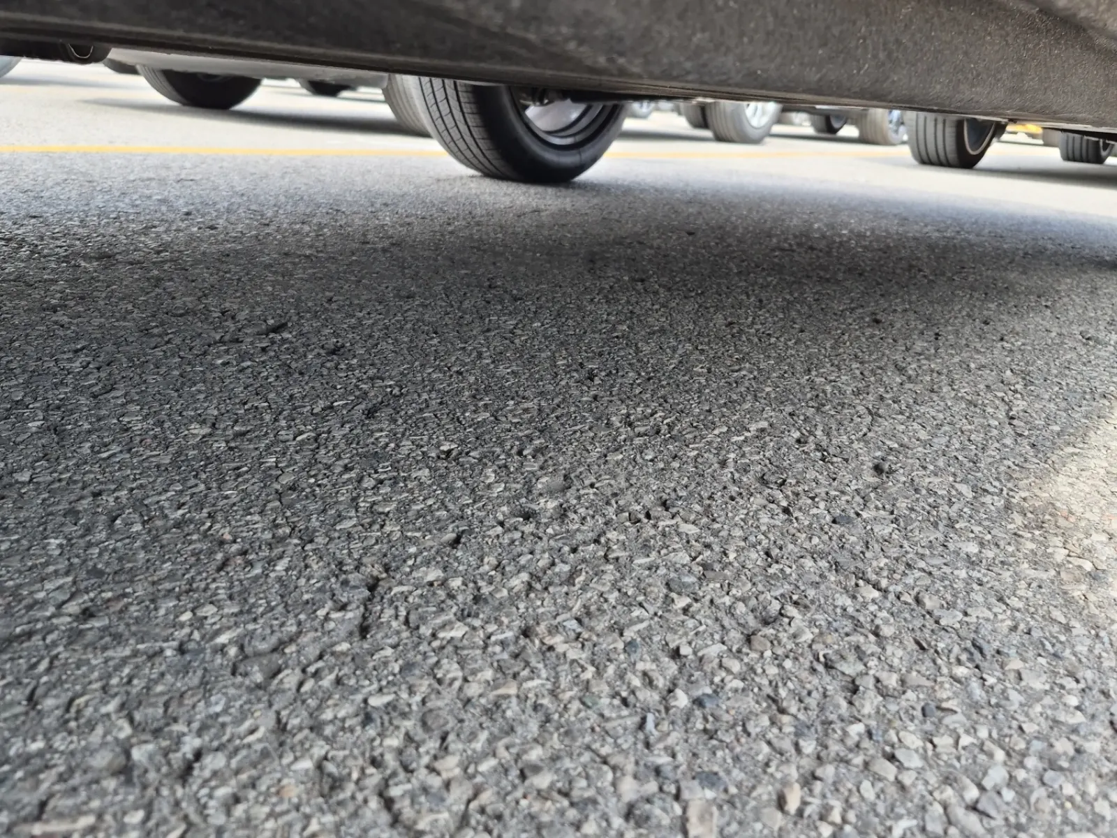 Undercarriage - Driver Photo