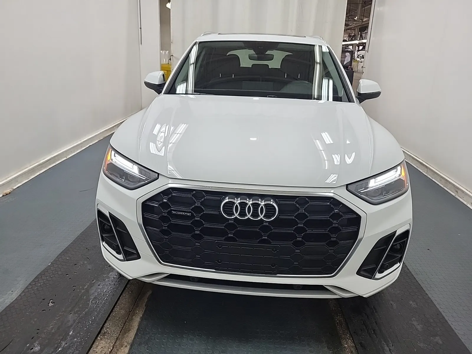 Full Front Photo
