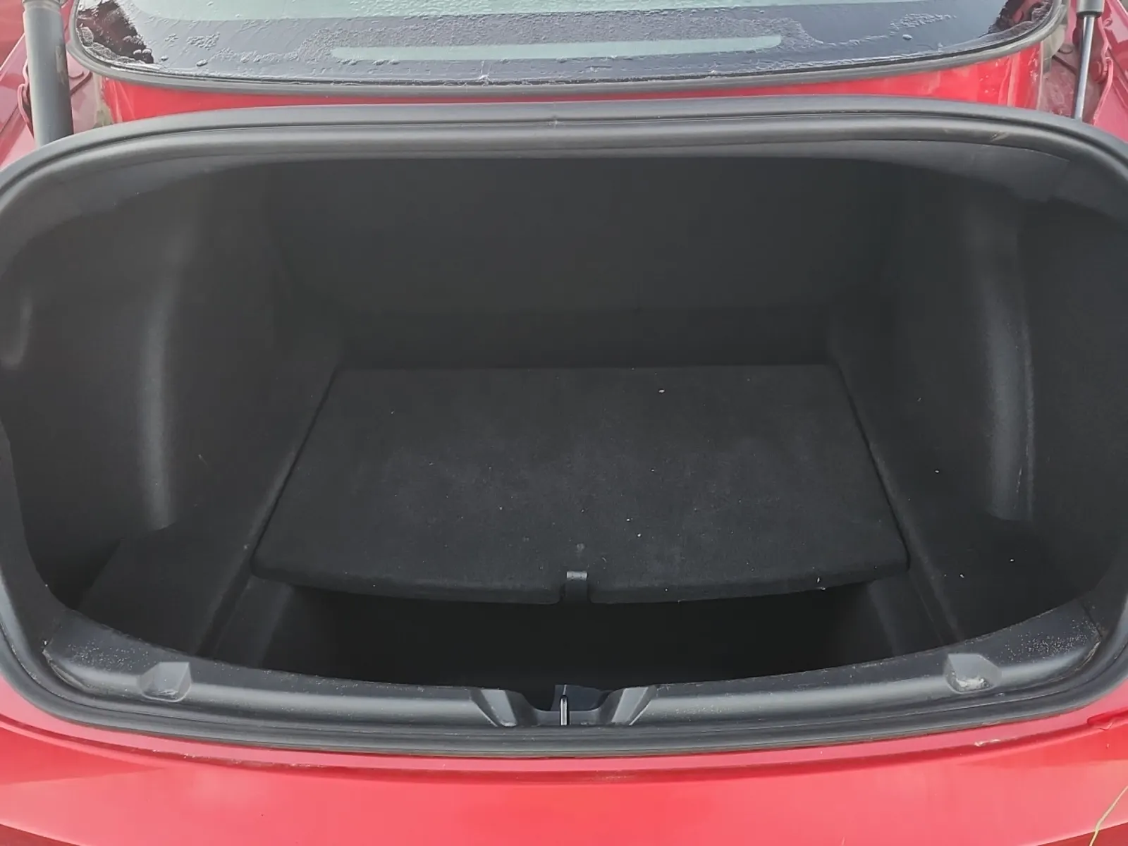 Cargo Area Photo