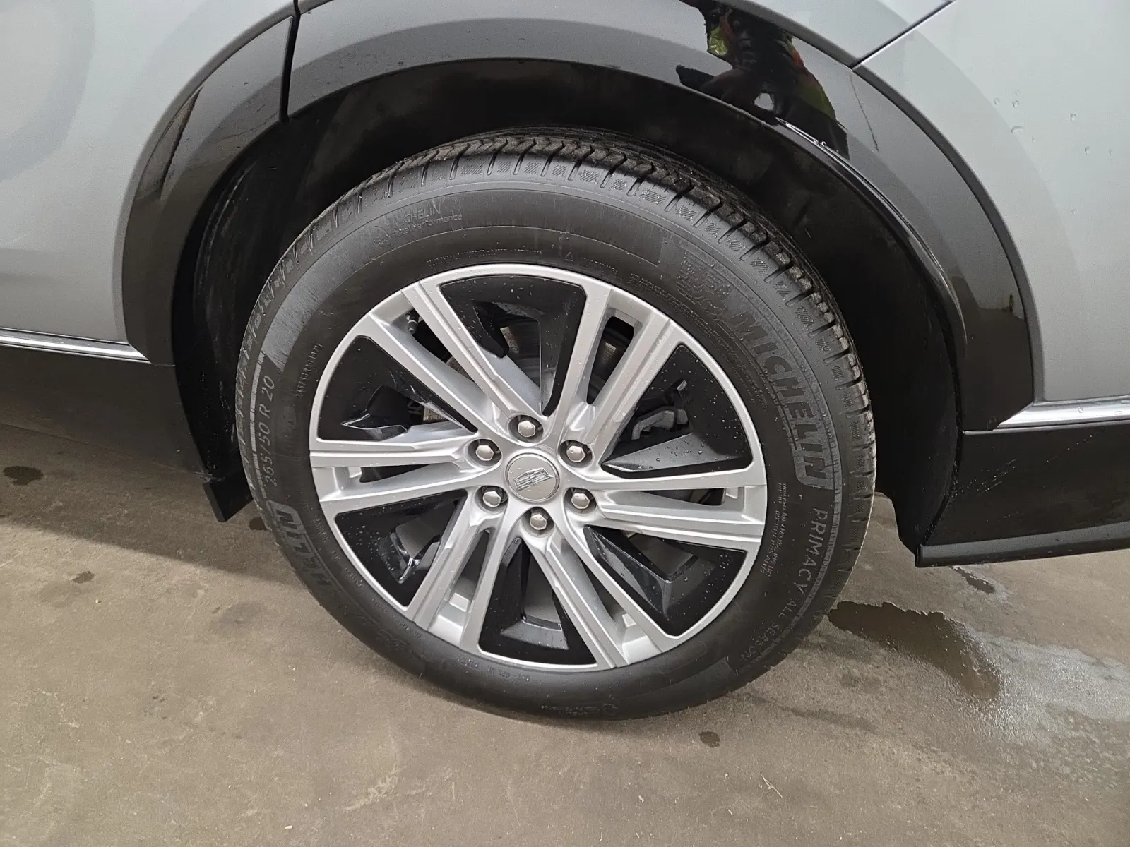 Left Rear Wheel/Tire Photo