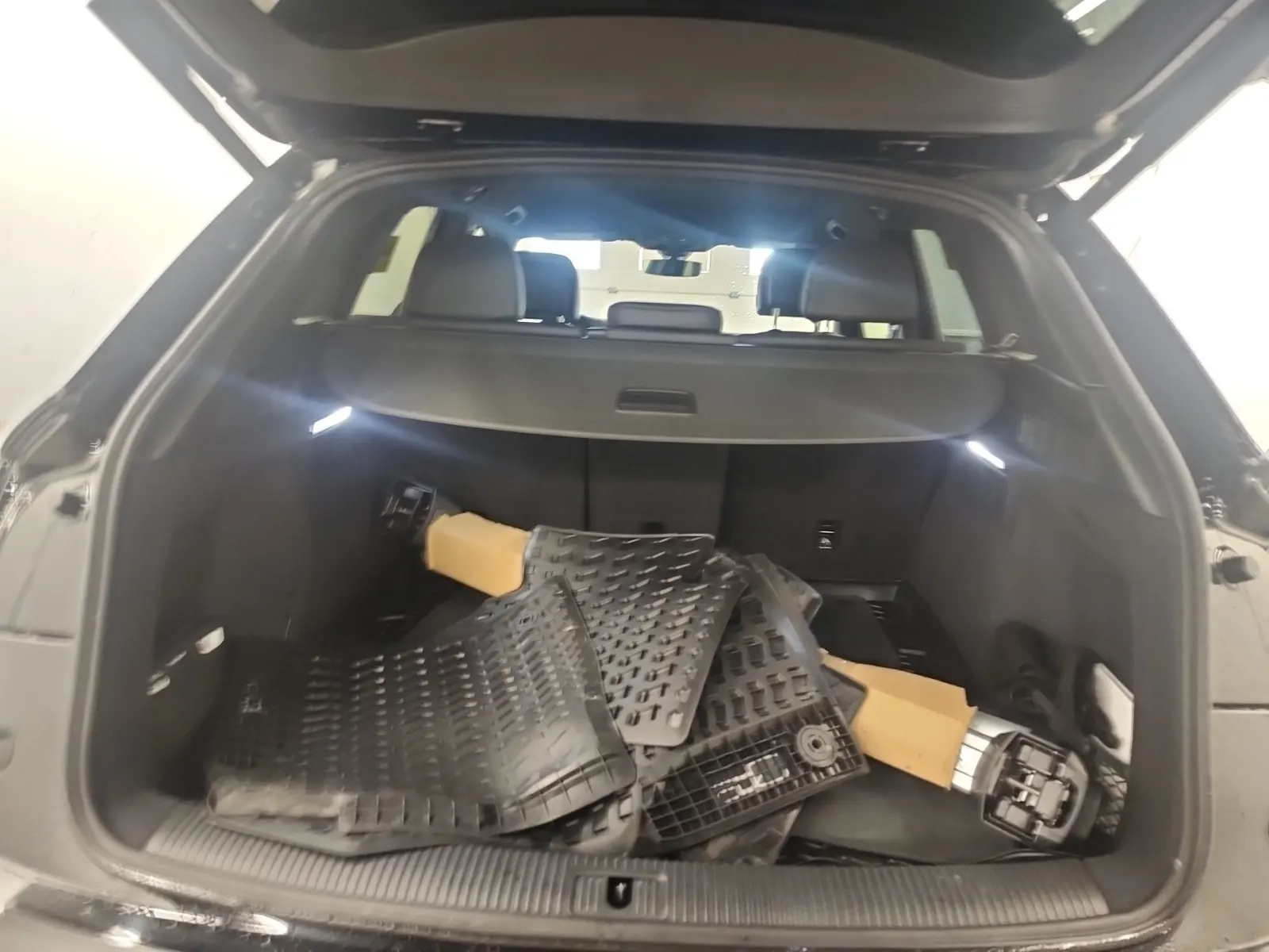 Cargo Area Photo
