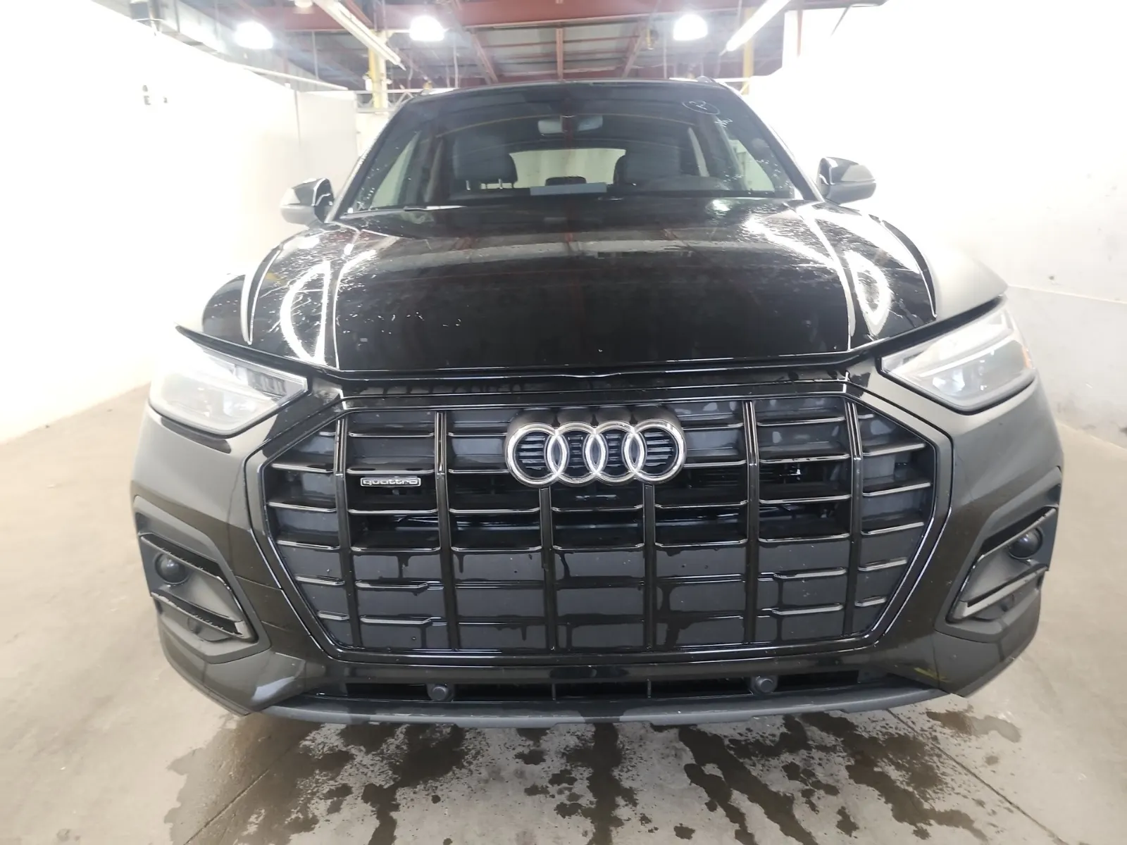 Full Front Photo