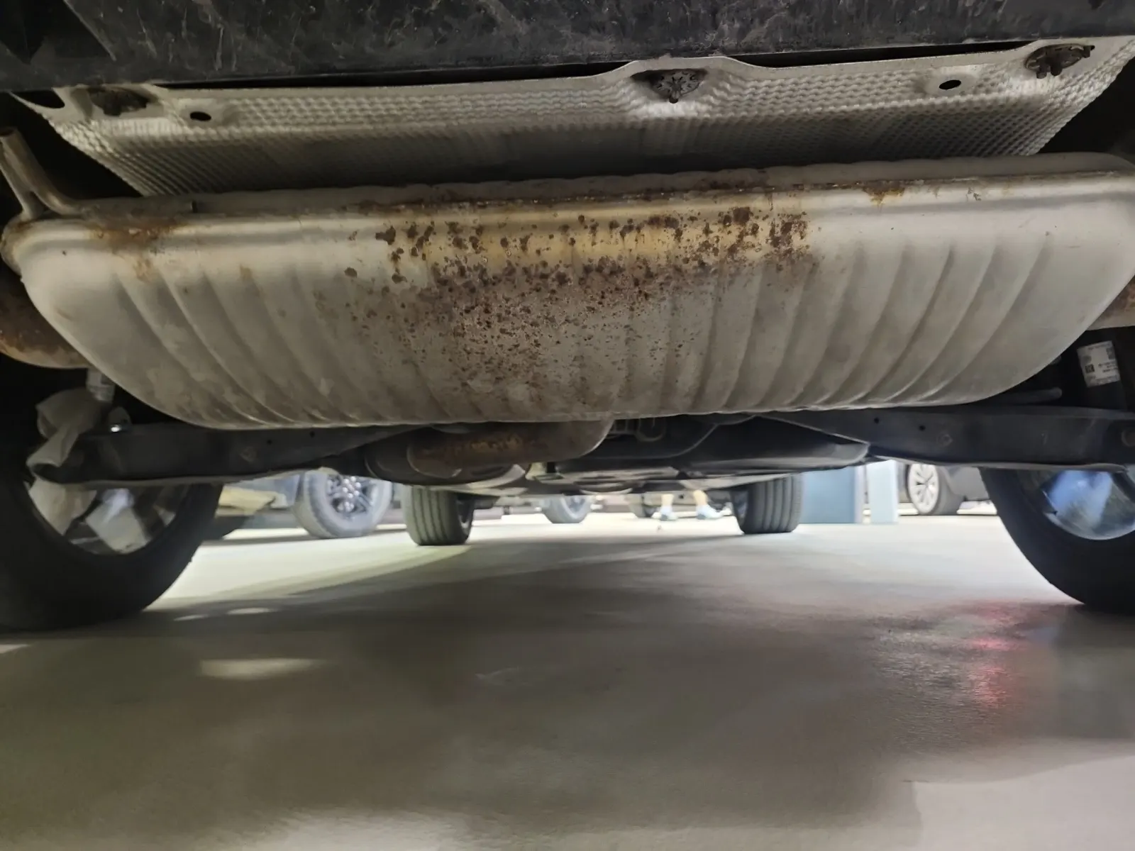 Undercarriage - Rear Photo