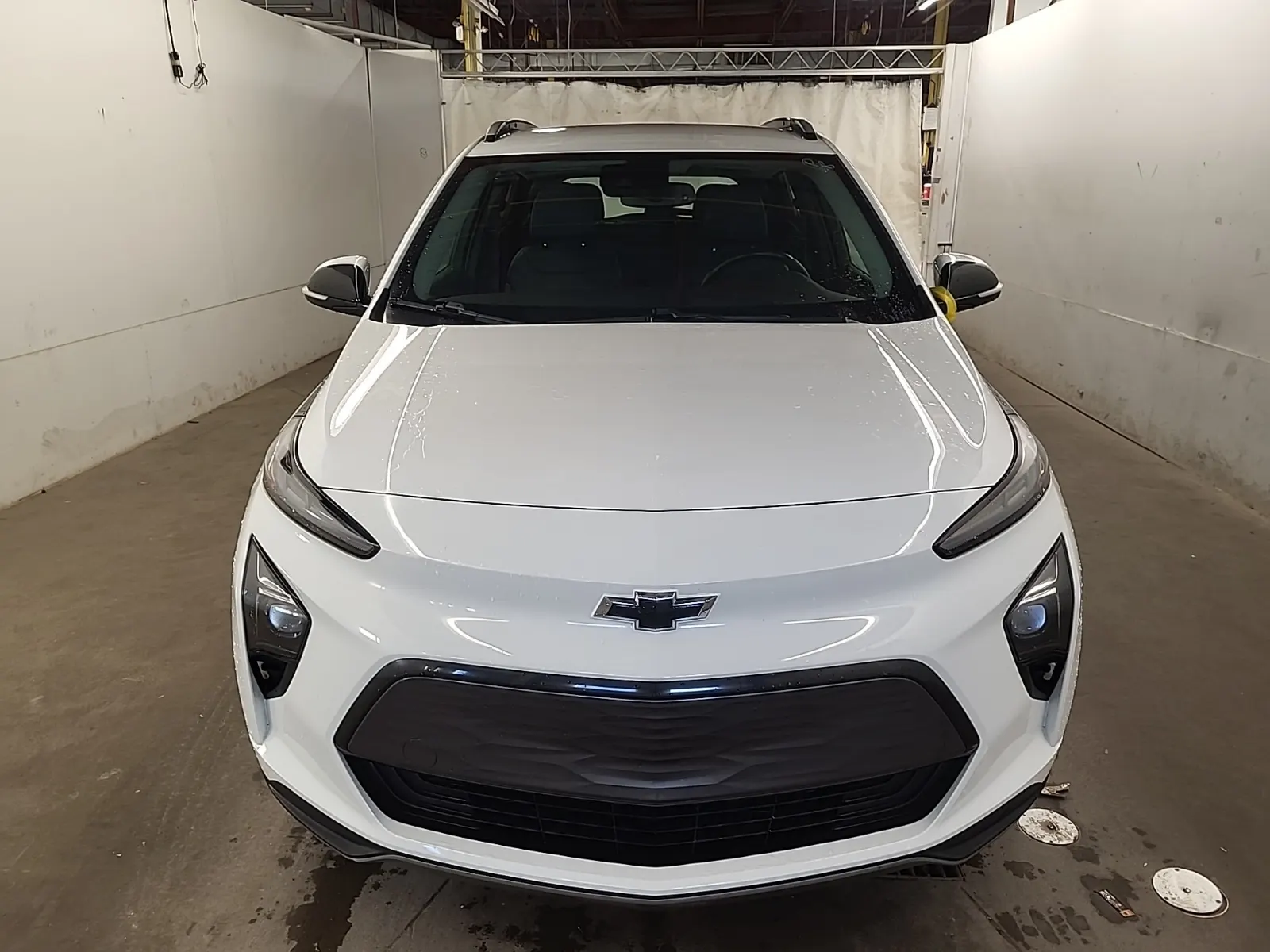 Full Front Photo