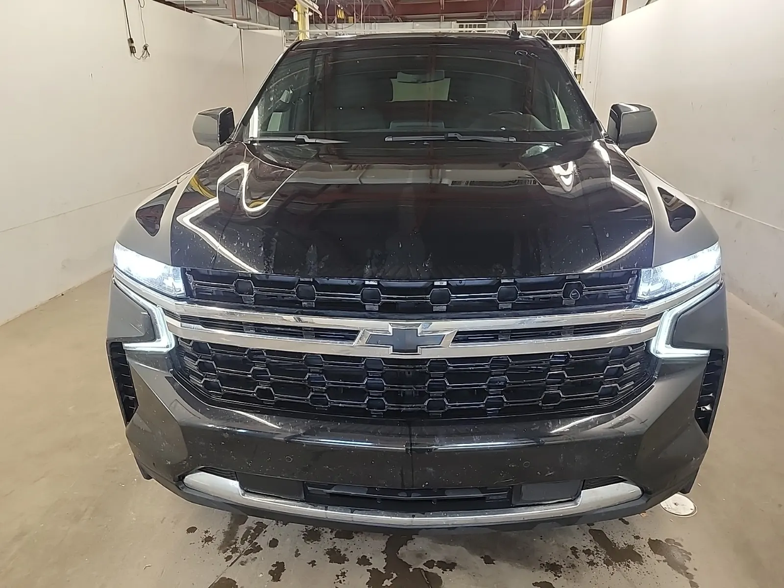 Full Front Photo