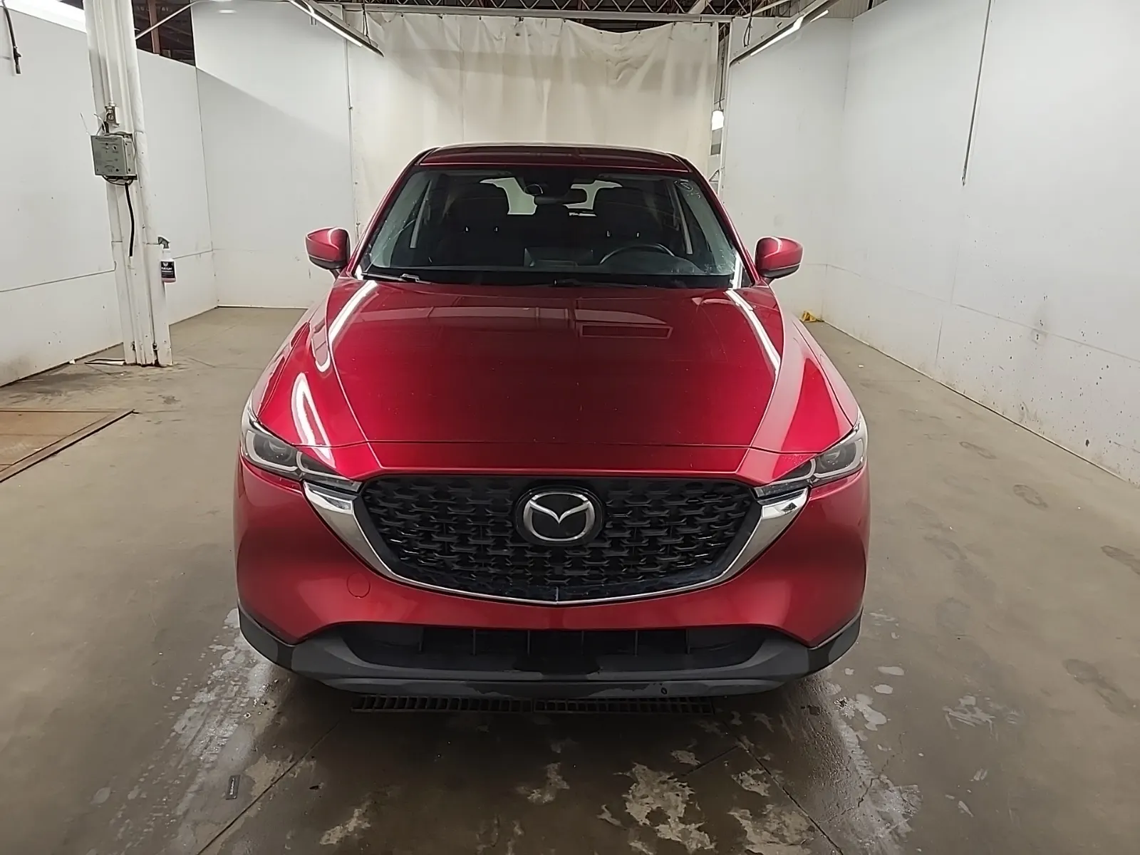 Full Front Photo