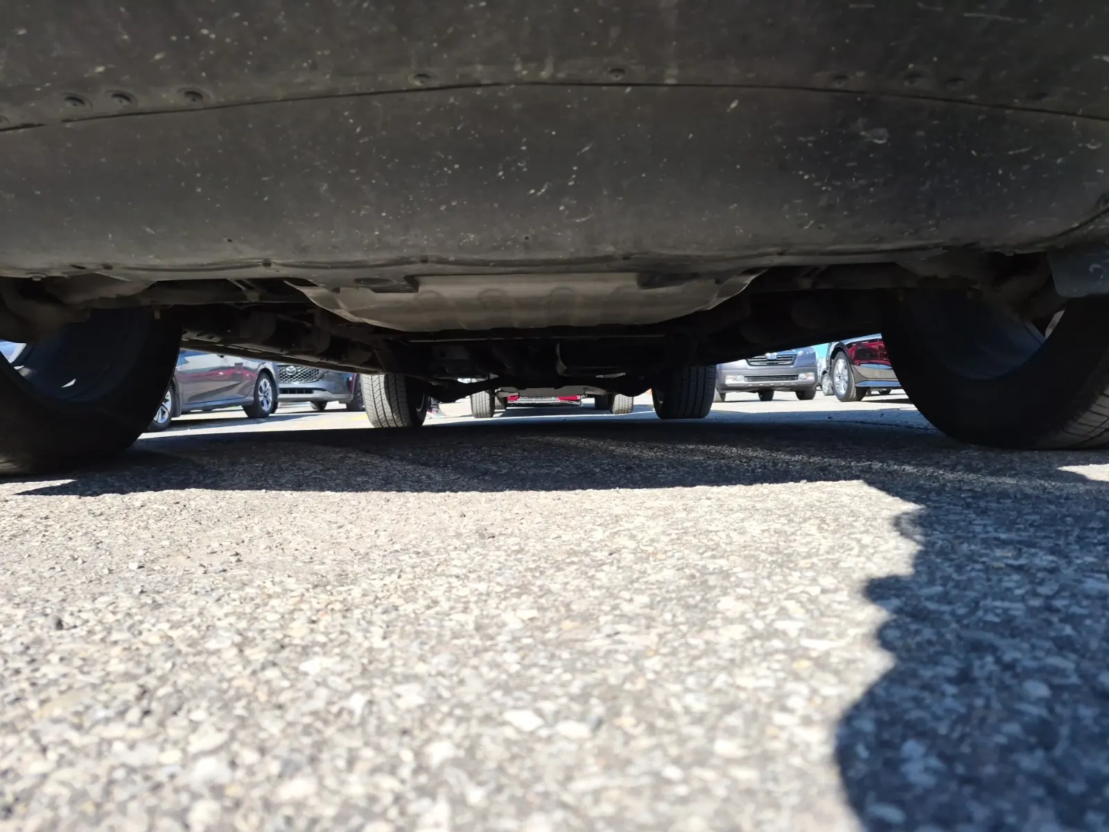 Undercarriage - Front Photo