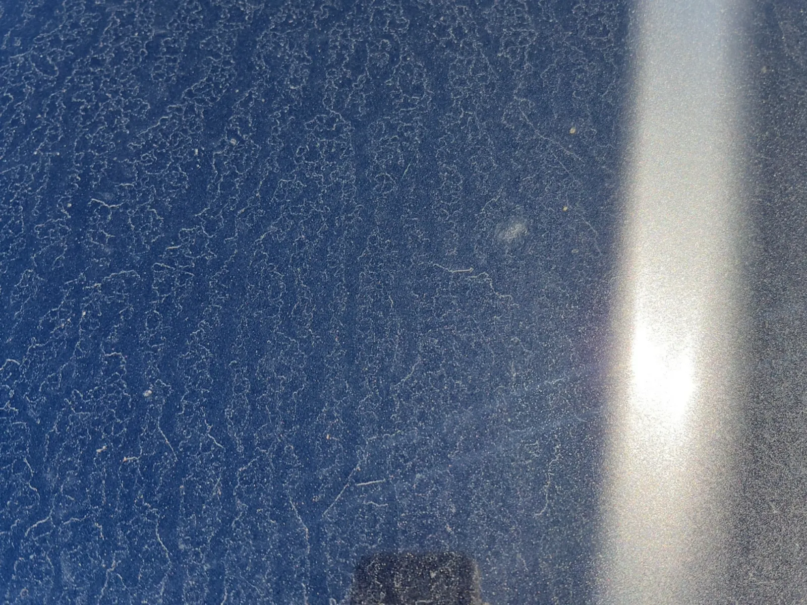 Emission Sticker Photo