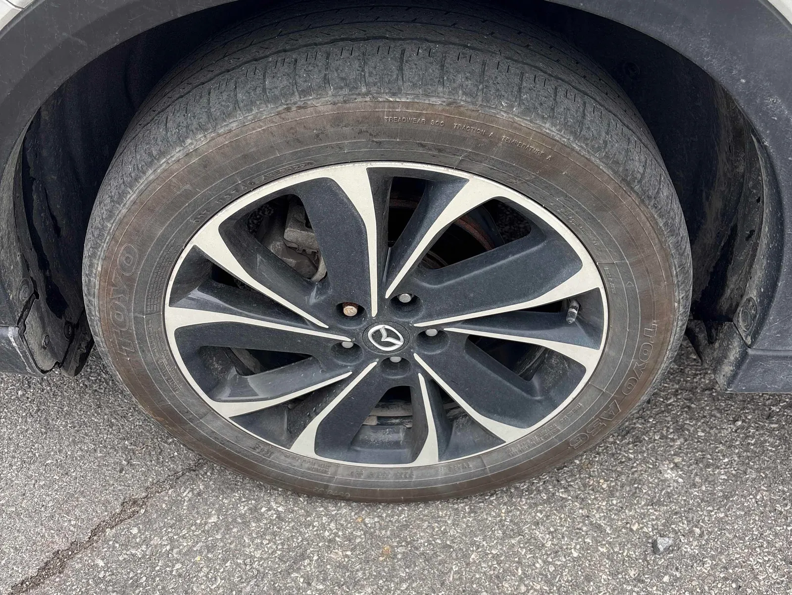 Tire