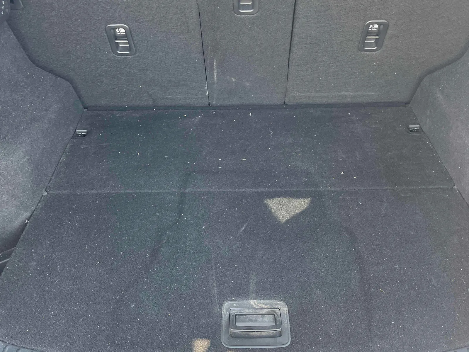 Additional Photo