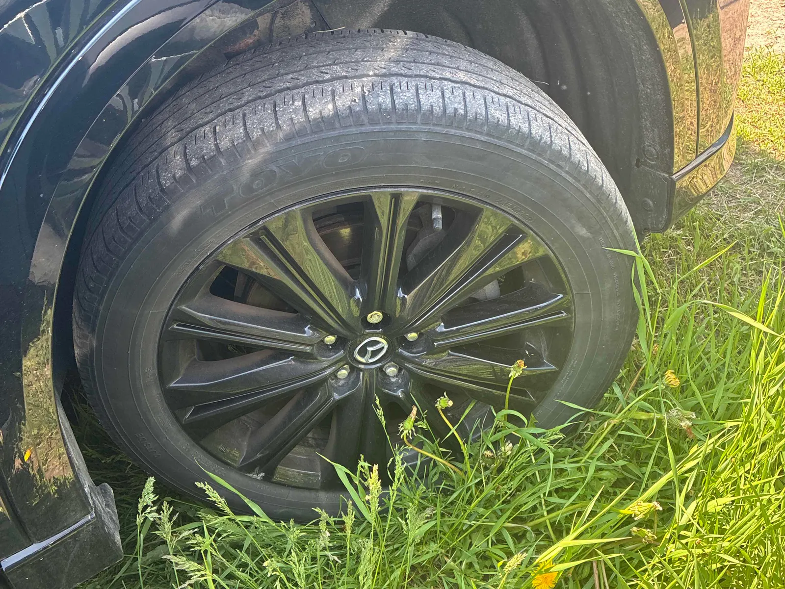 Tire