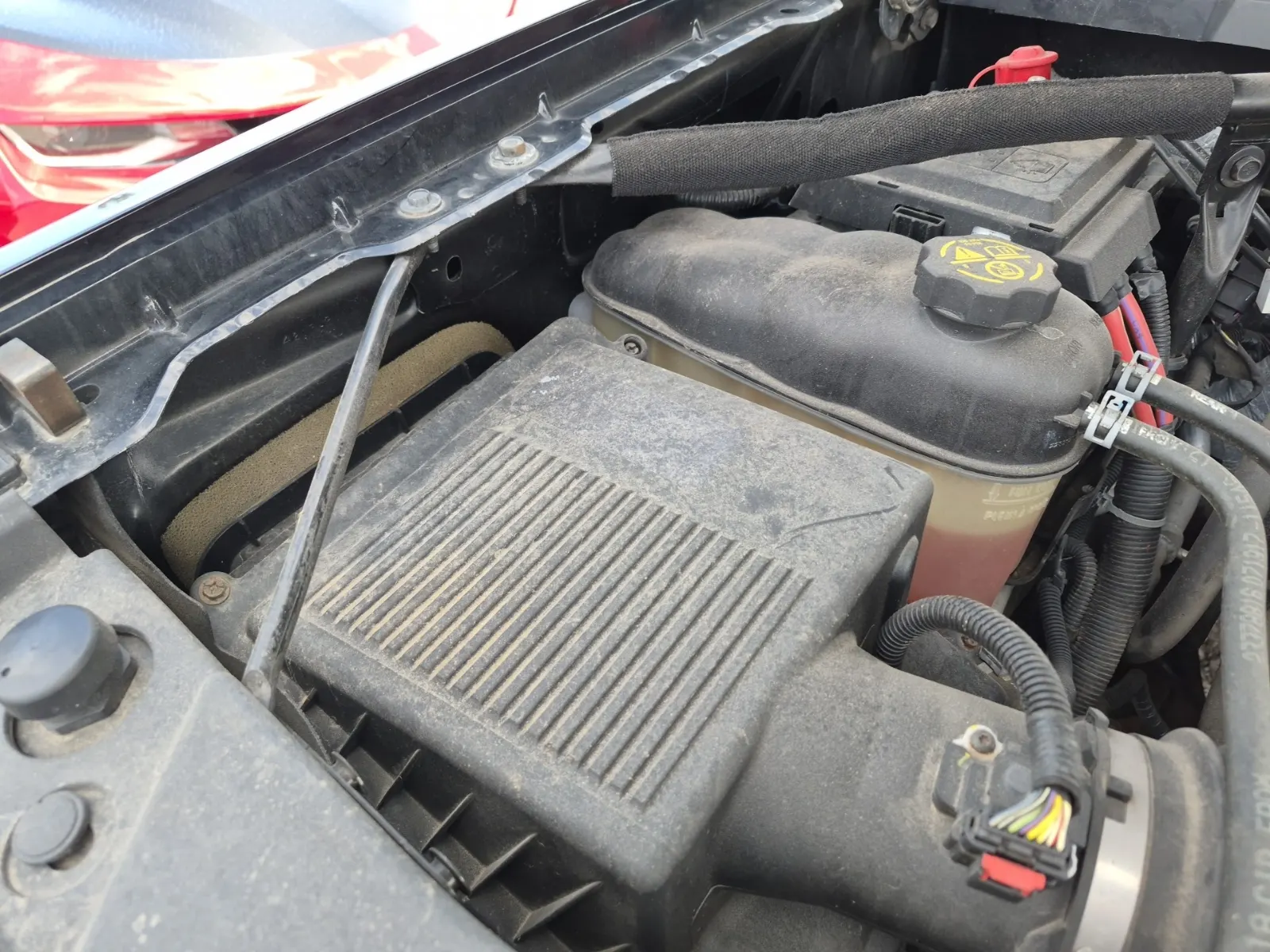 Emission Sticker Photo