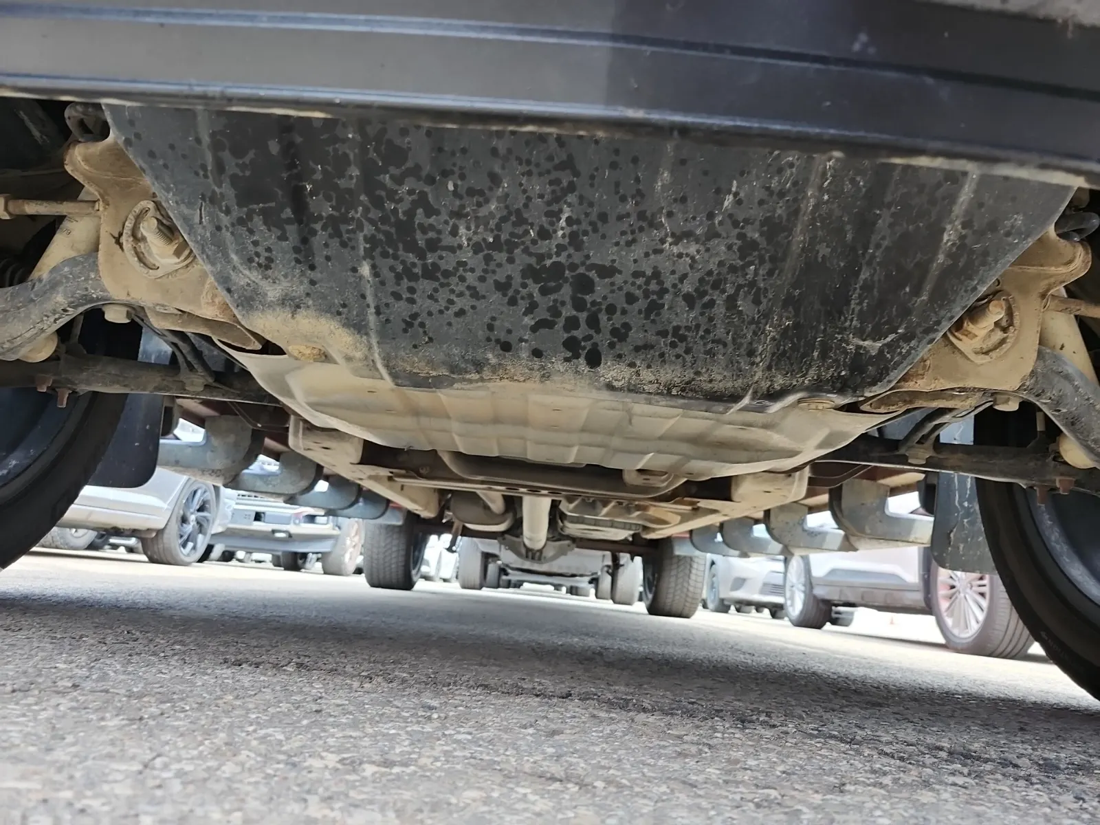 Undercarriage - Front Photo