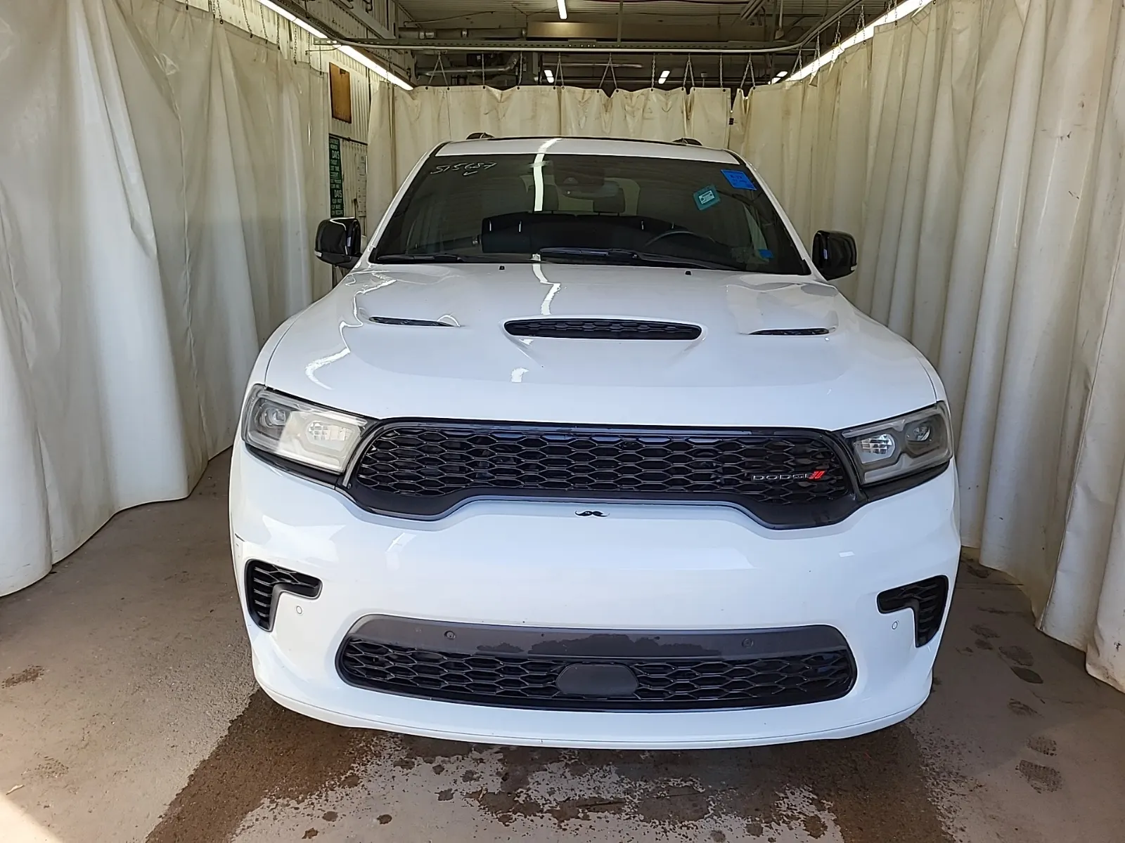 Full Front Photo