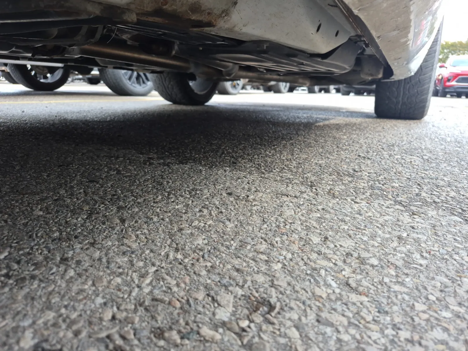 Undercarriage - Driver Photo