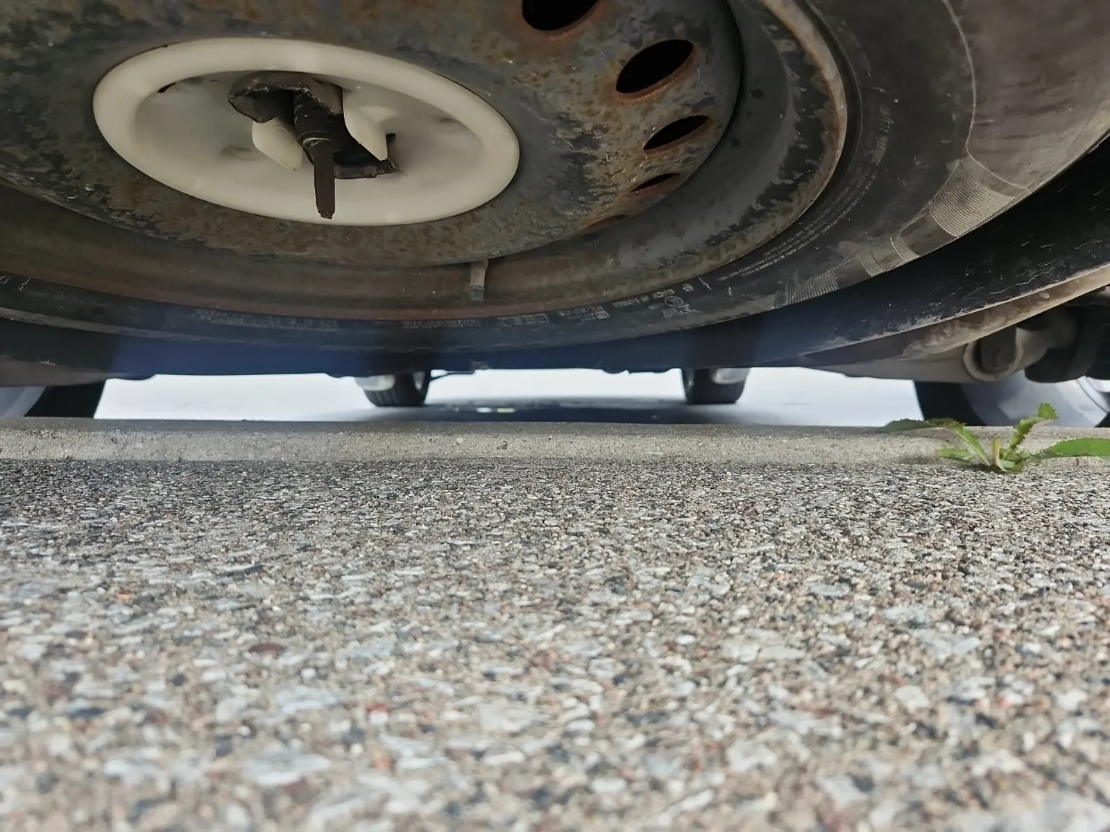 Undercarriage - Rear Photo