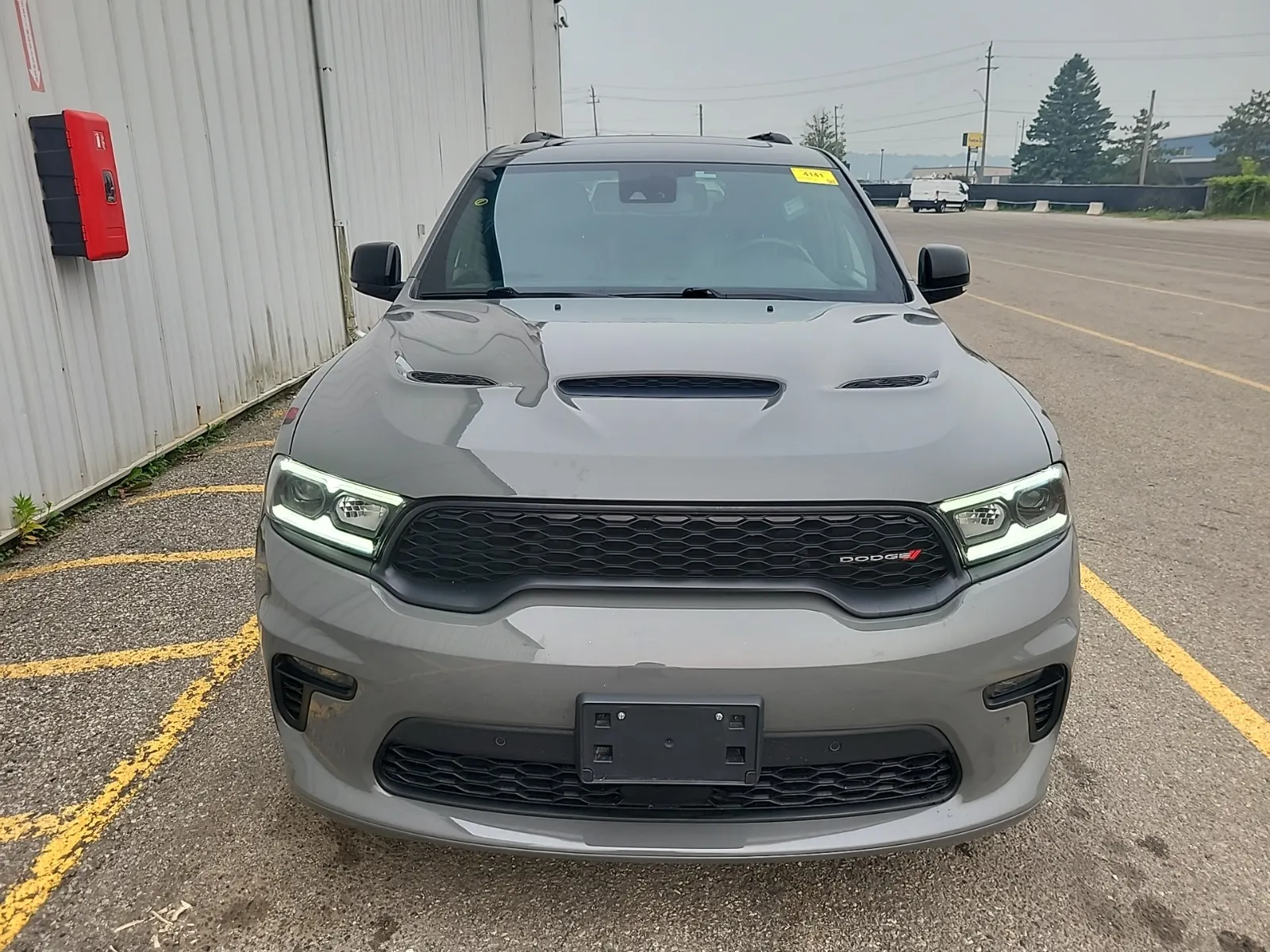 Full Front Photo