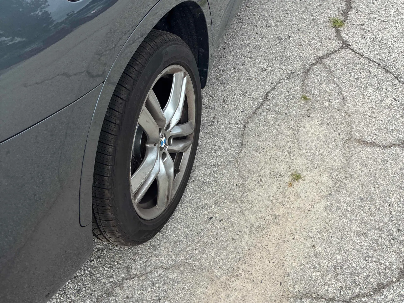 Additional Photo