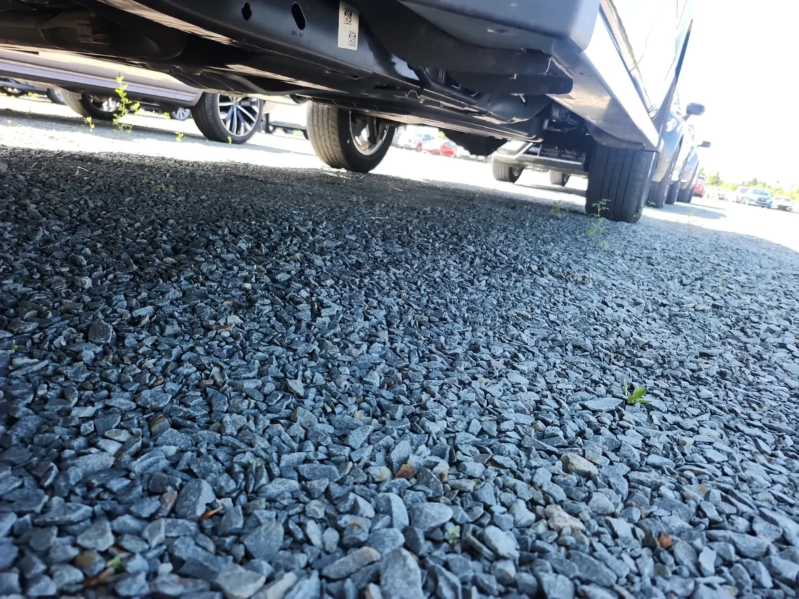 Undercarriage - Driver Photo