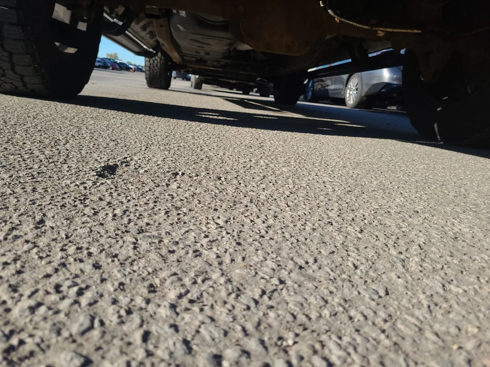 Undercarriage - Rear Photo