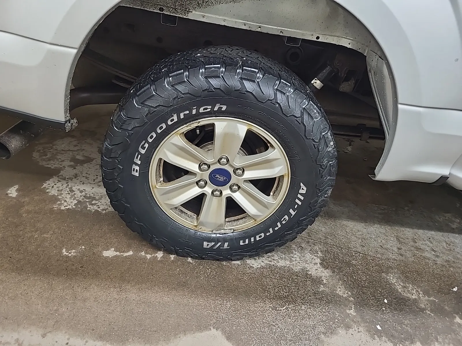 Right Rear Wheel/Tire Photo