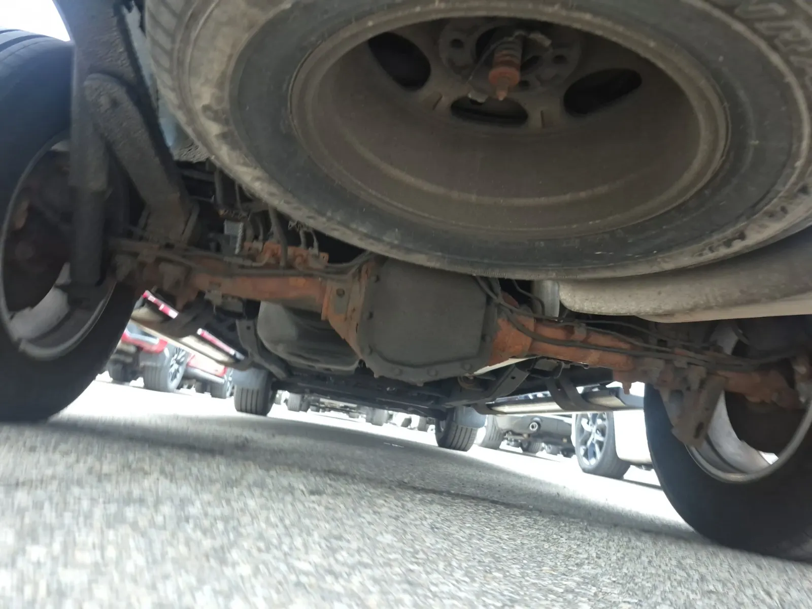 Undercarriage - Rear Photo