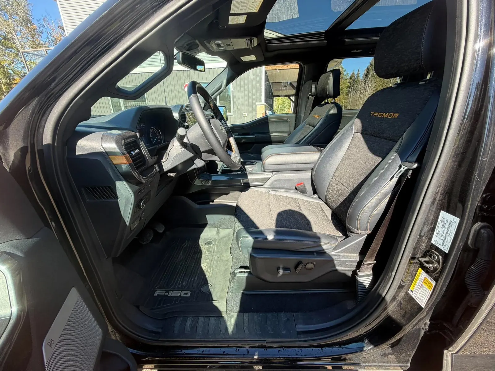 Interior driver side