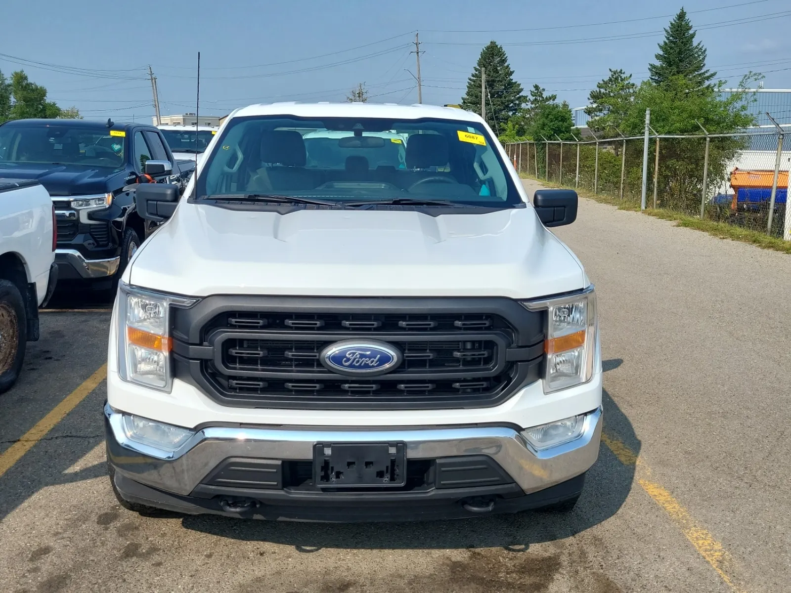 Full Front Photo