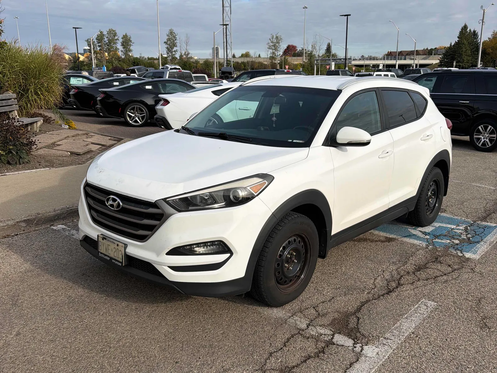3/4 Front (Main image)