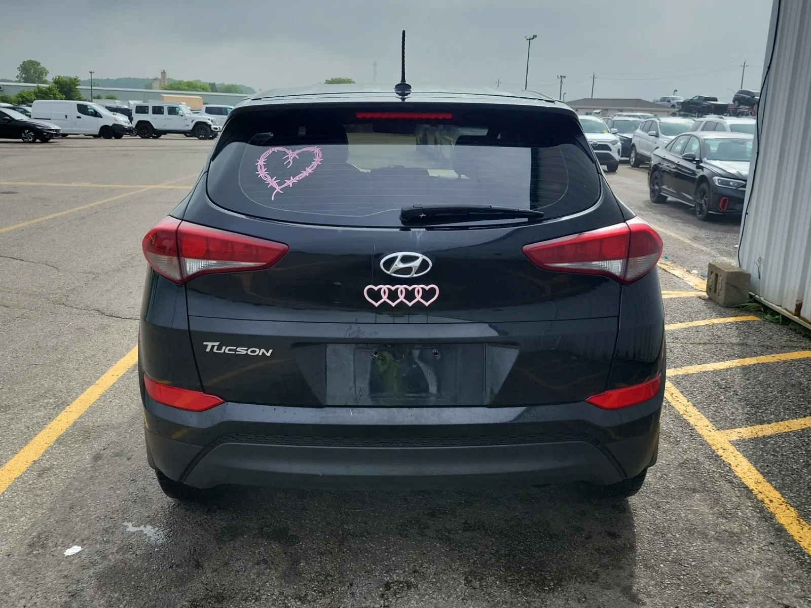 Full Rear Photo