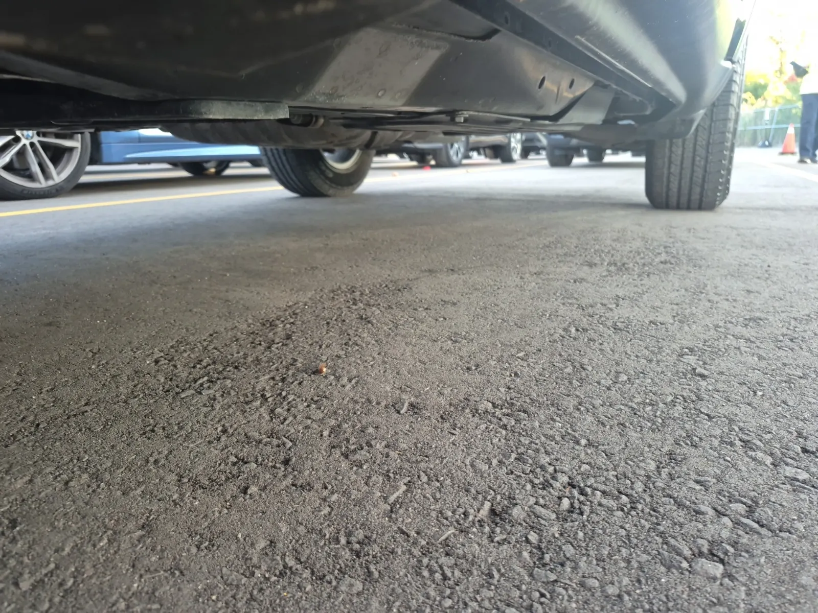 Undercarriage - Driver Photo
