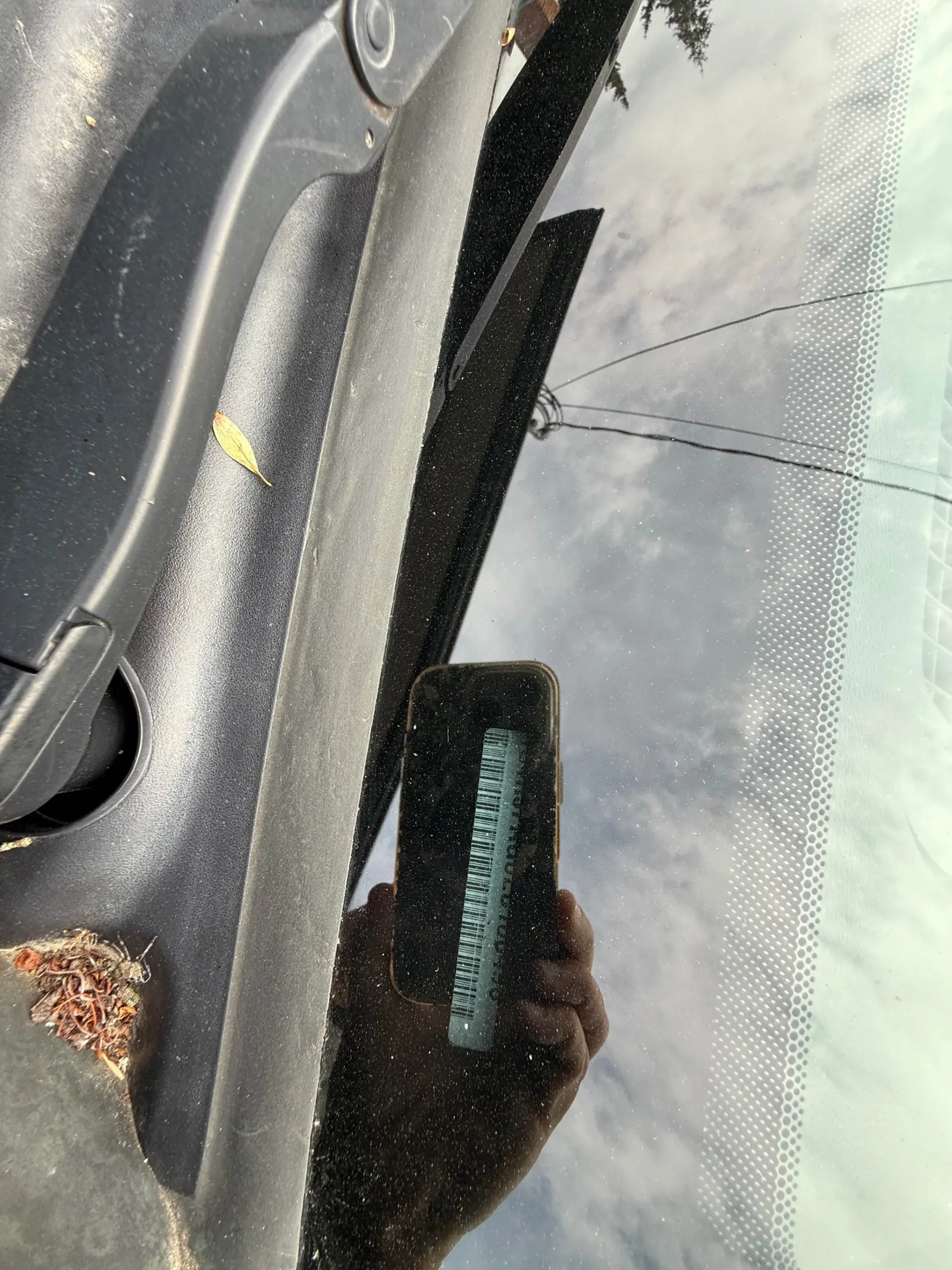 Additional Photo