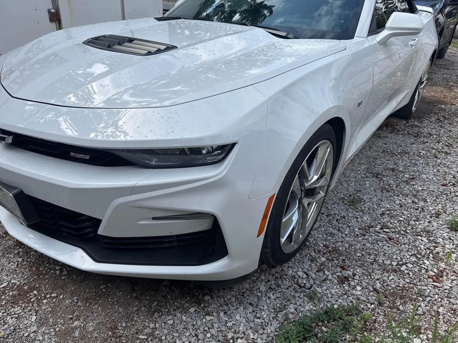 3/4 Front (Main image)