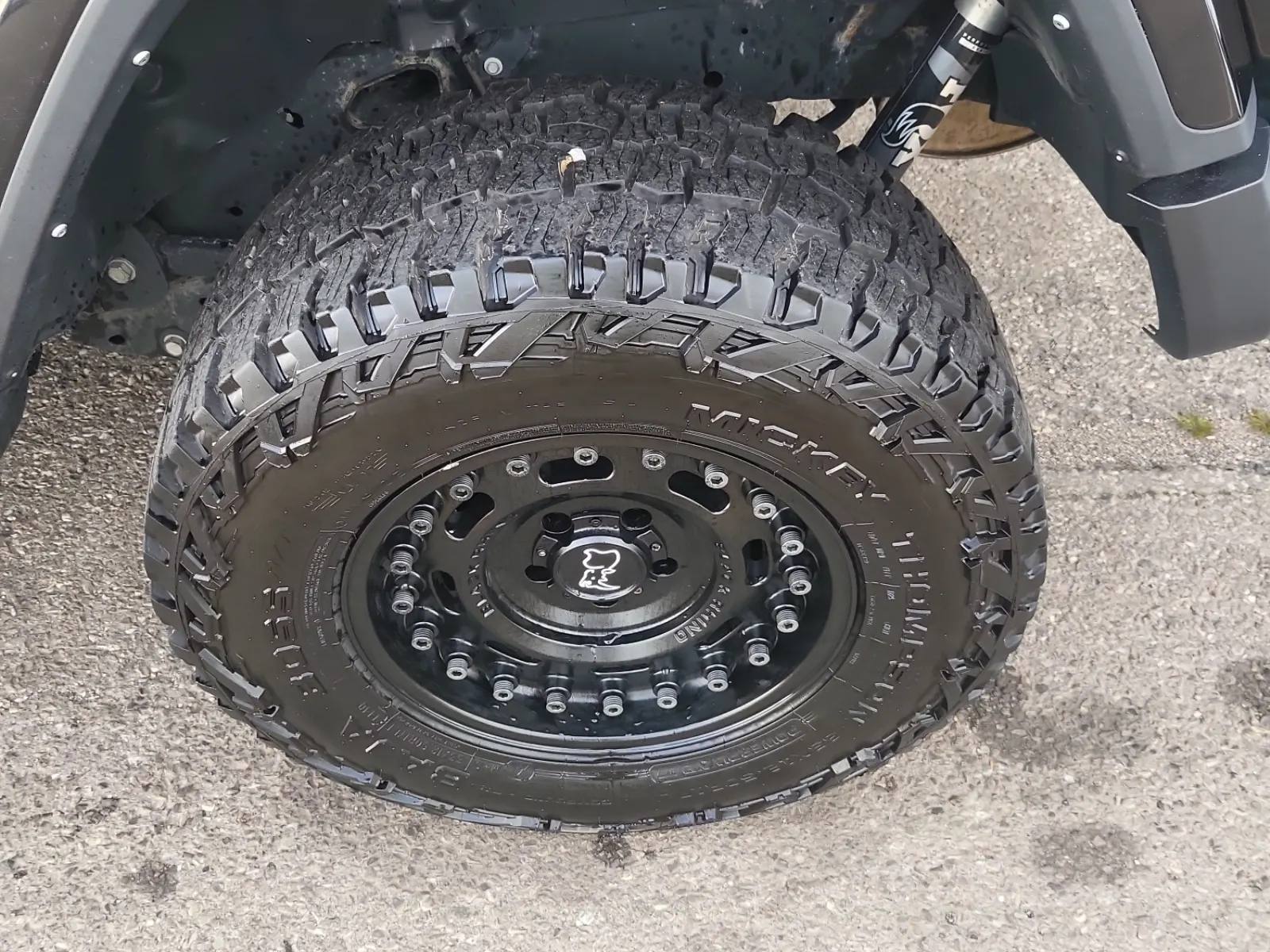 Left Rear Wheel/Tire Photo