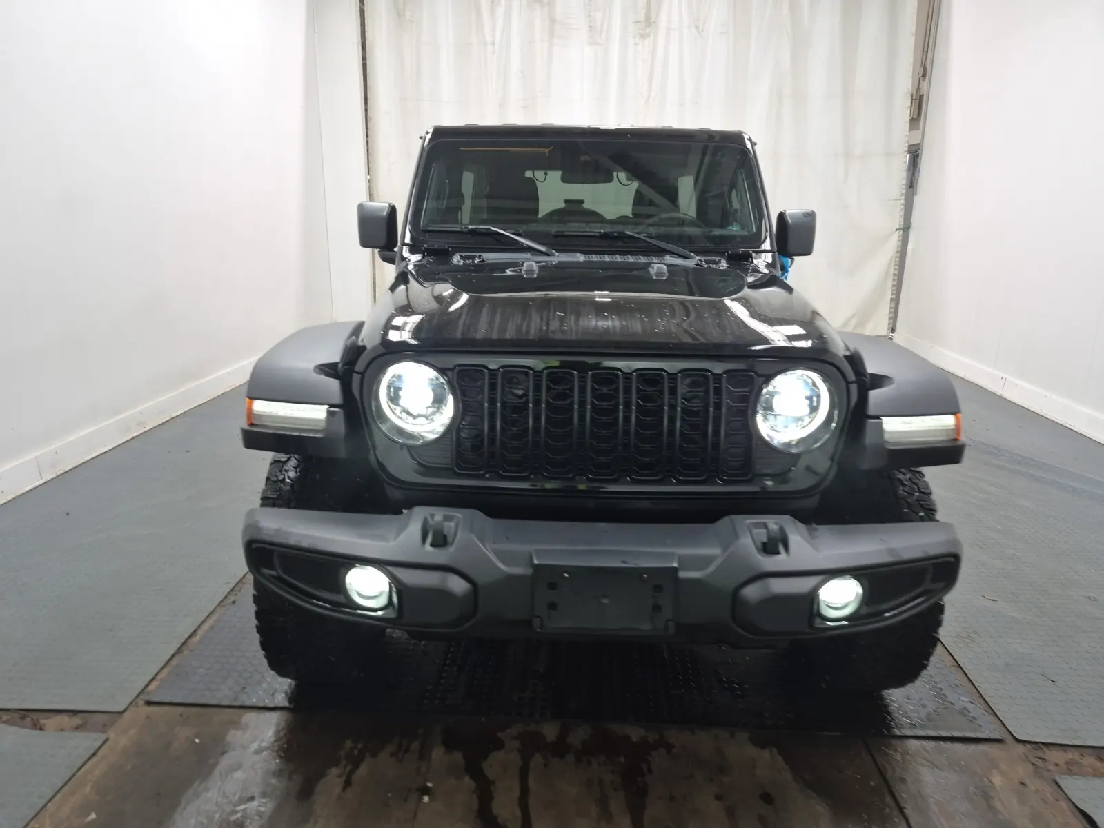 Full Front Photo