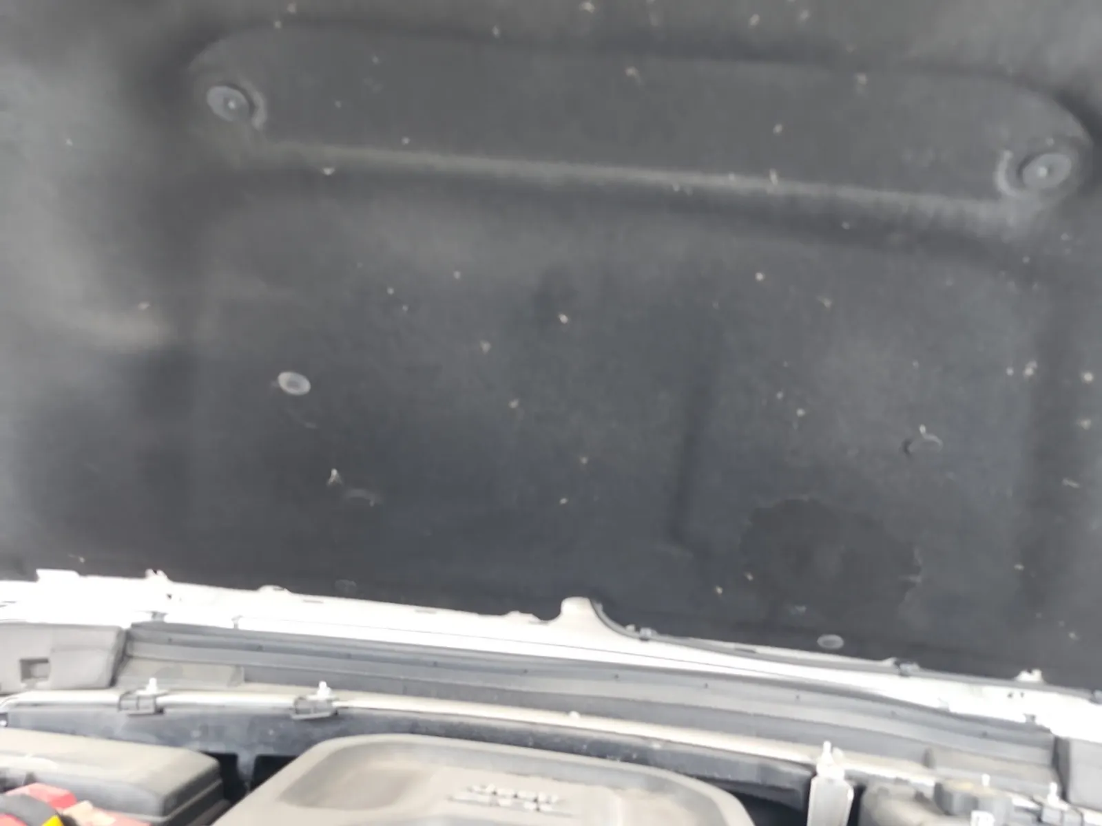 Emission Sticker Photo