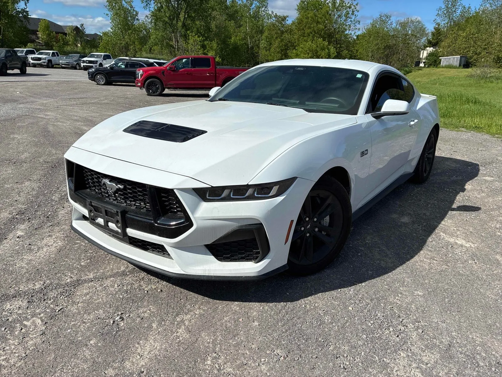 3/4 Front (Main image)