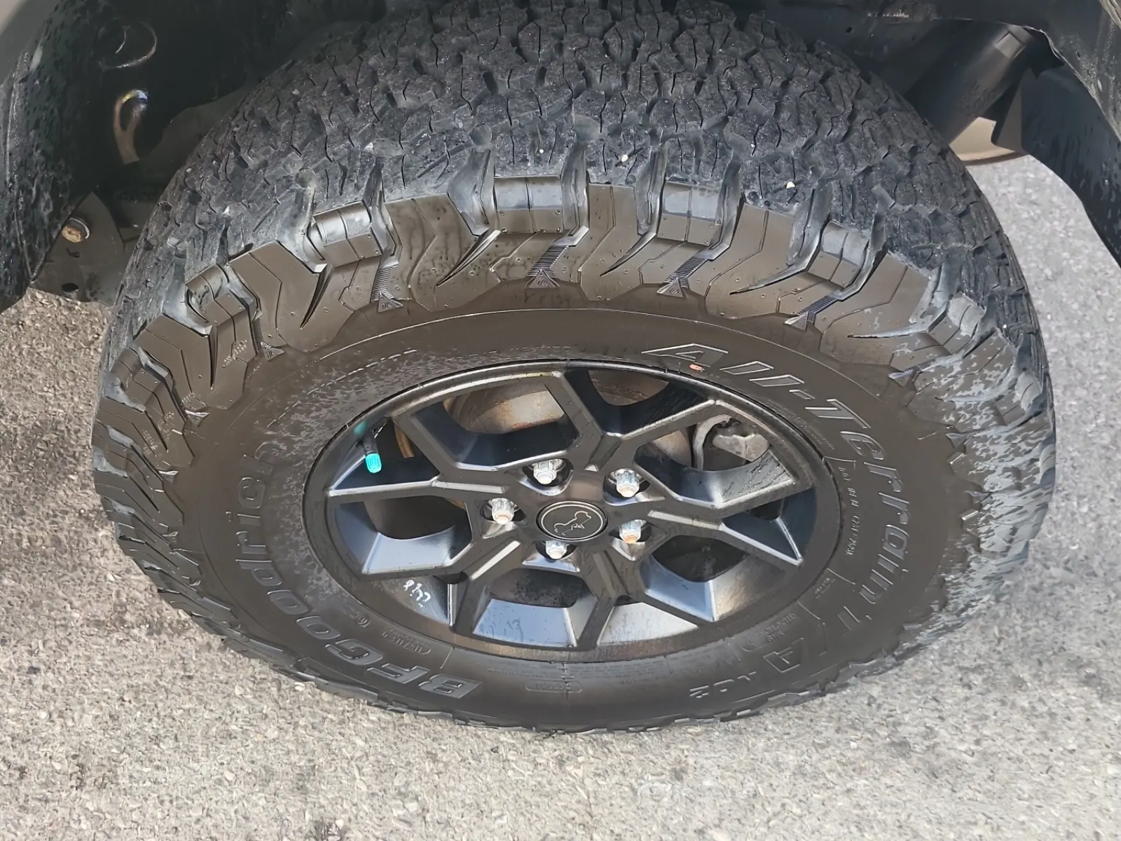 Left Rear Wheel/Tire Photo