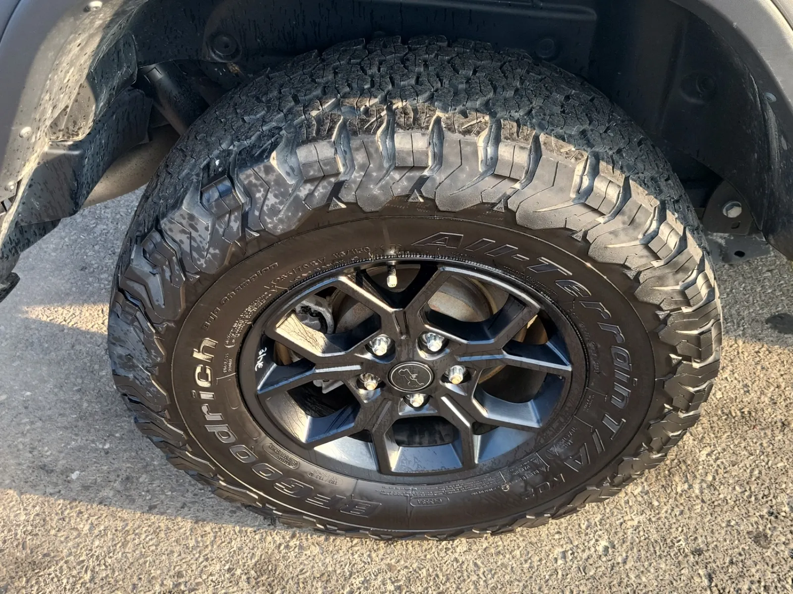 Right Rear Wheel/Tire Photo