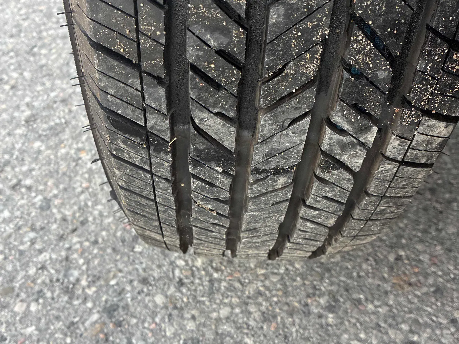 Additional Photo