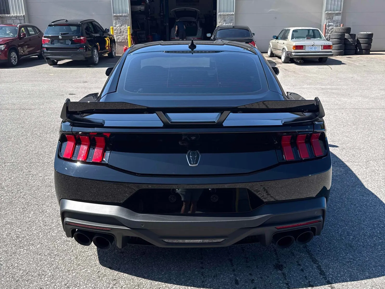 Back