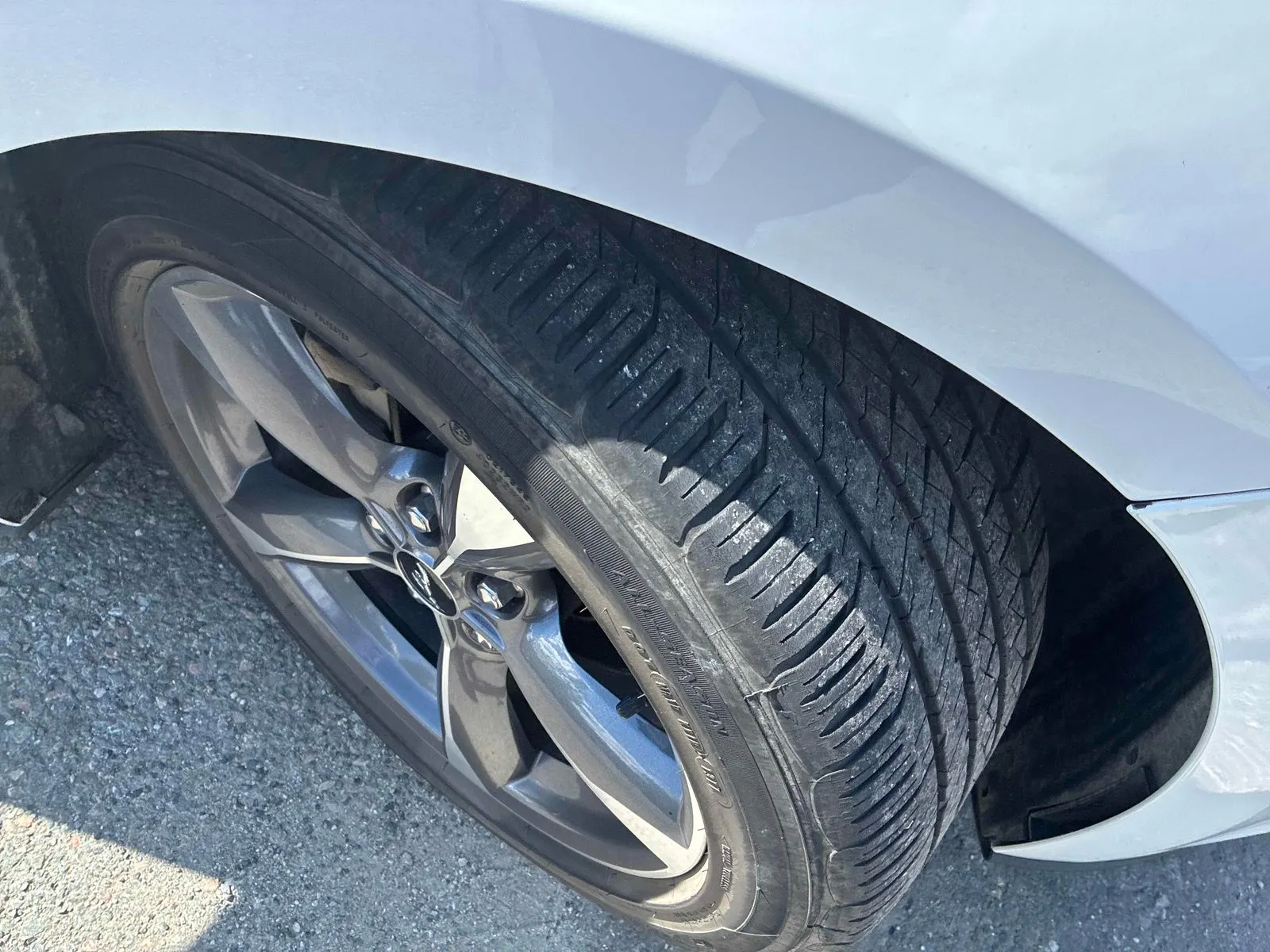 Tire