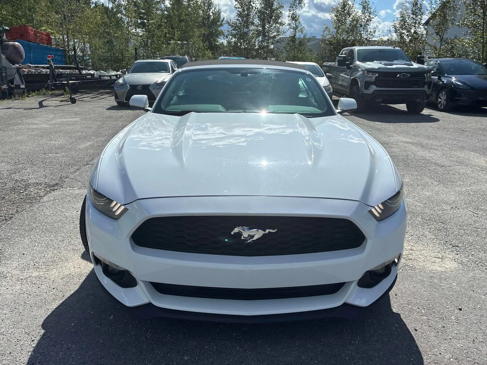 Front