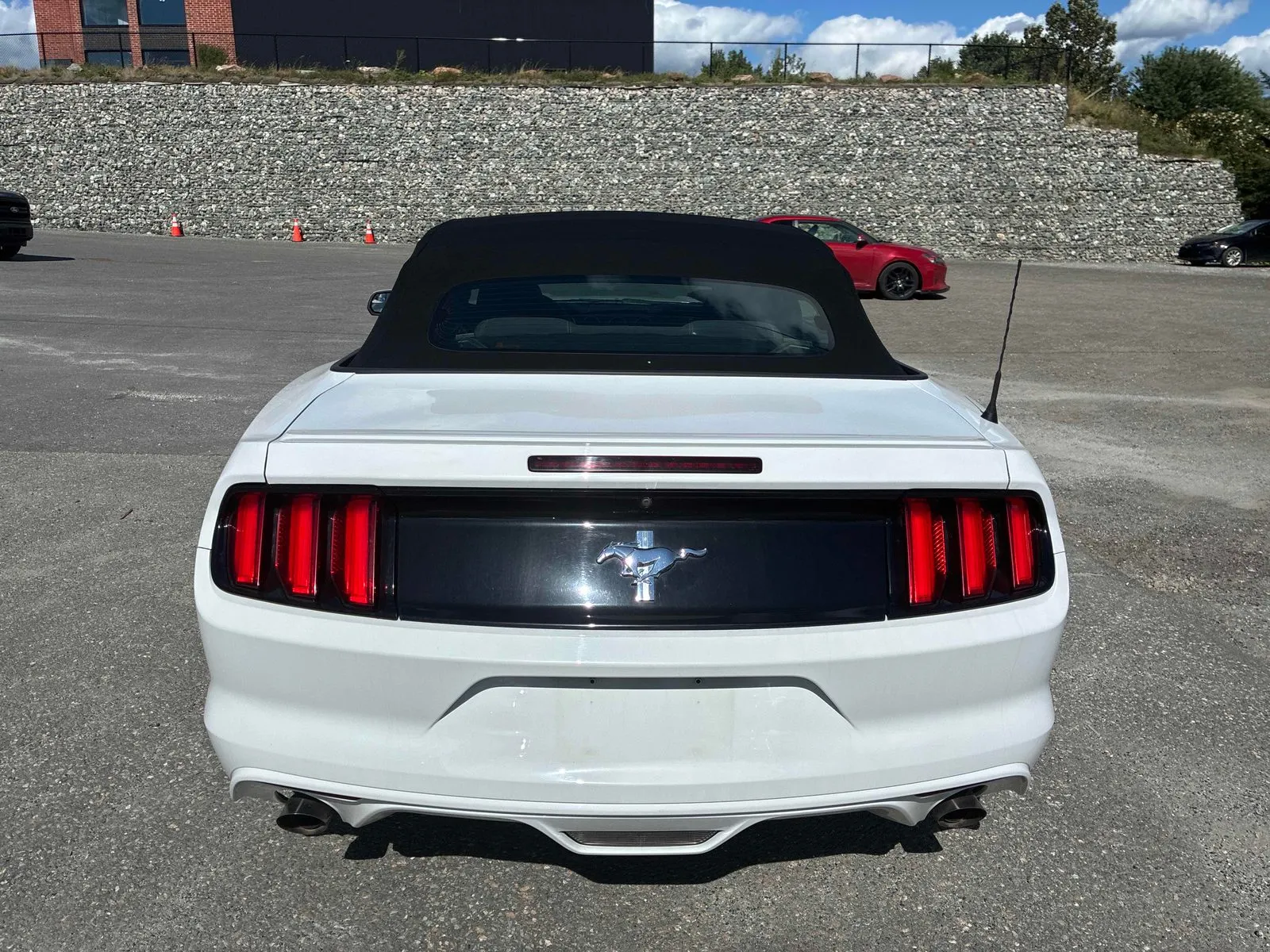 Back