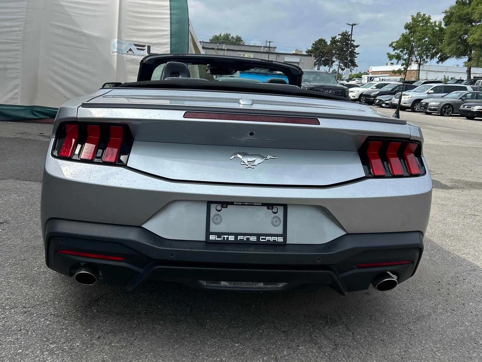 Back