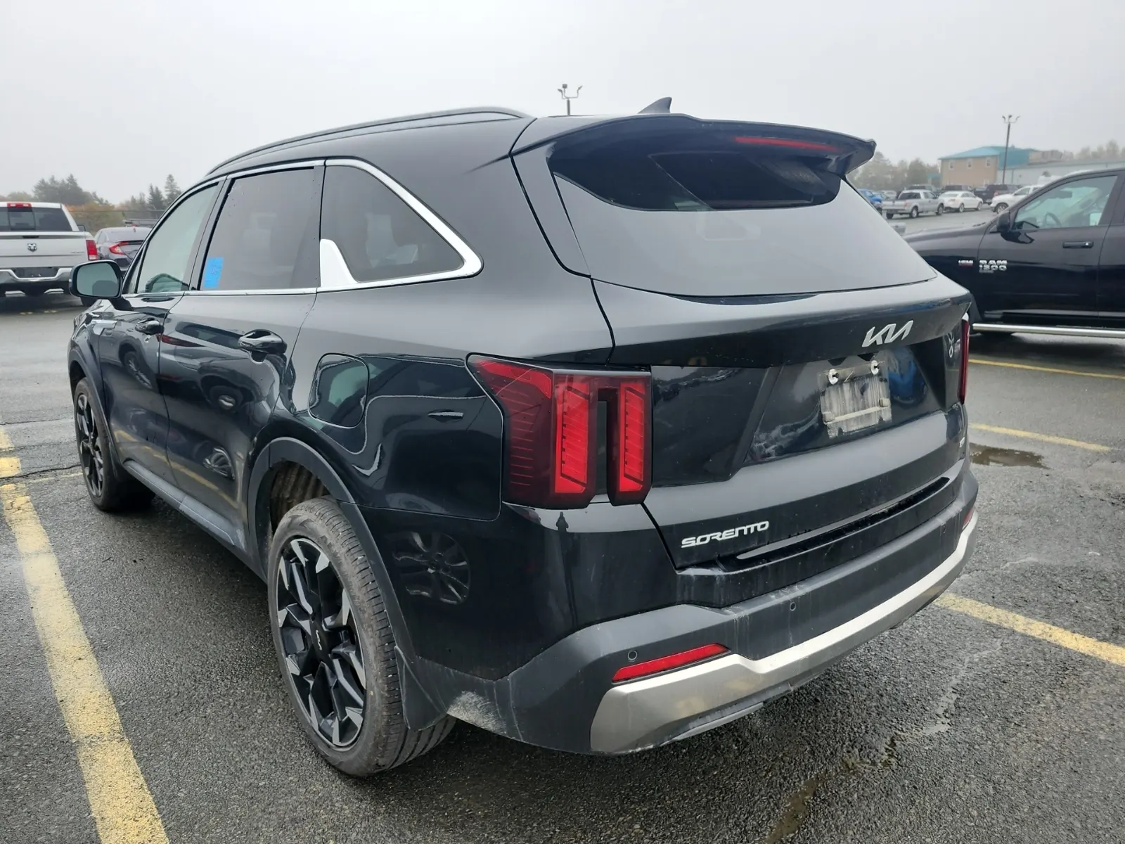 Driver Rear 3/4 Photo