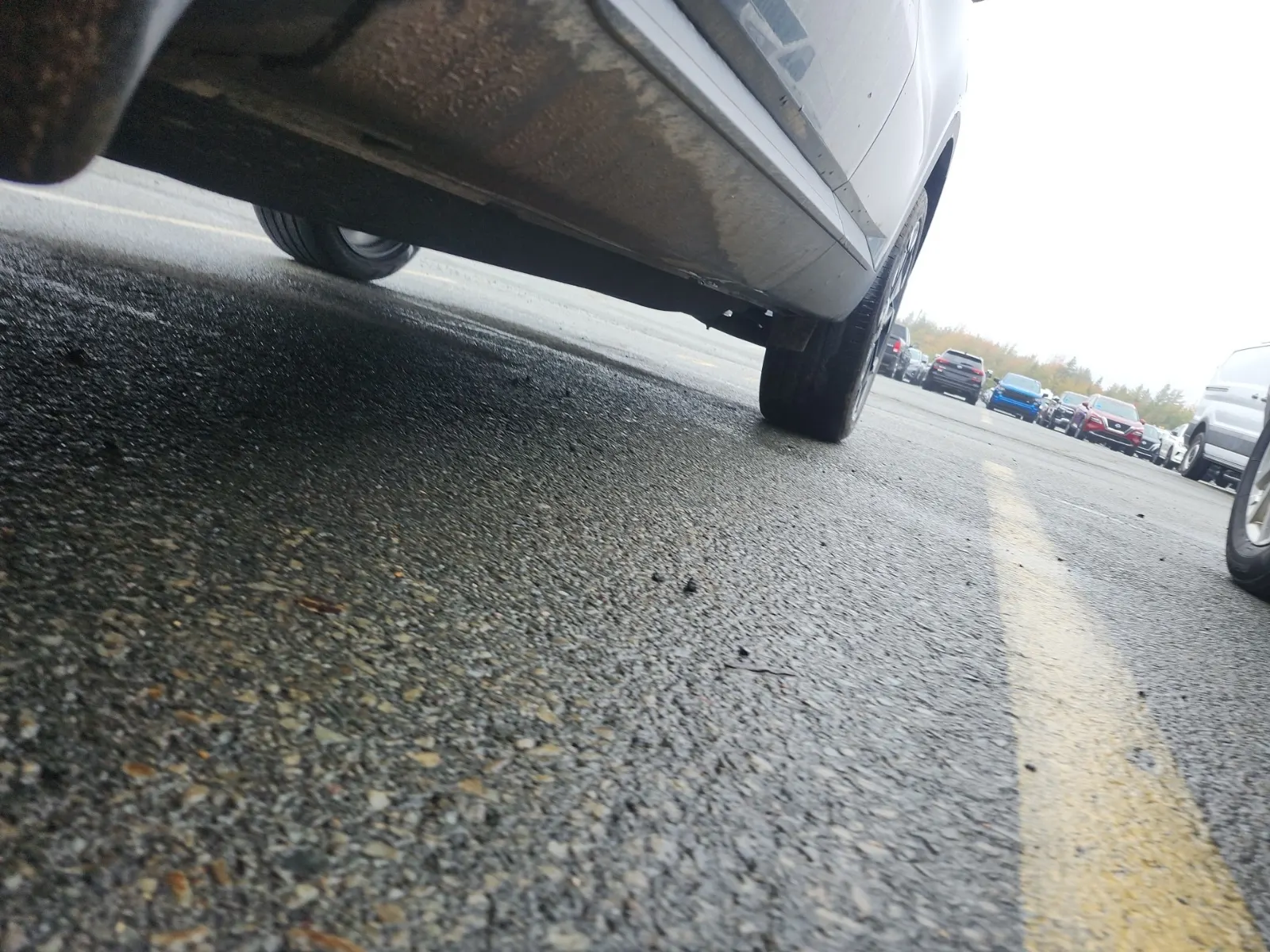Undercarriage - Driver Photo