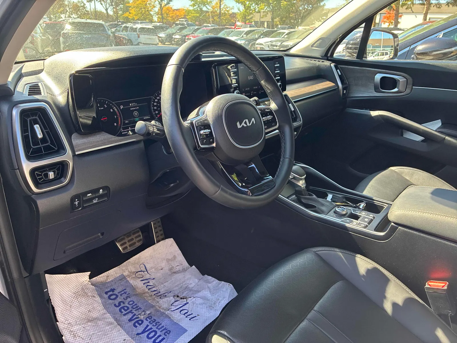 Interior driver side