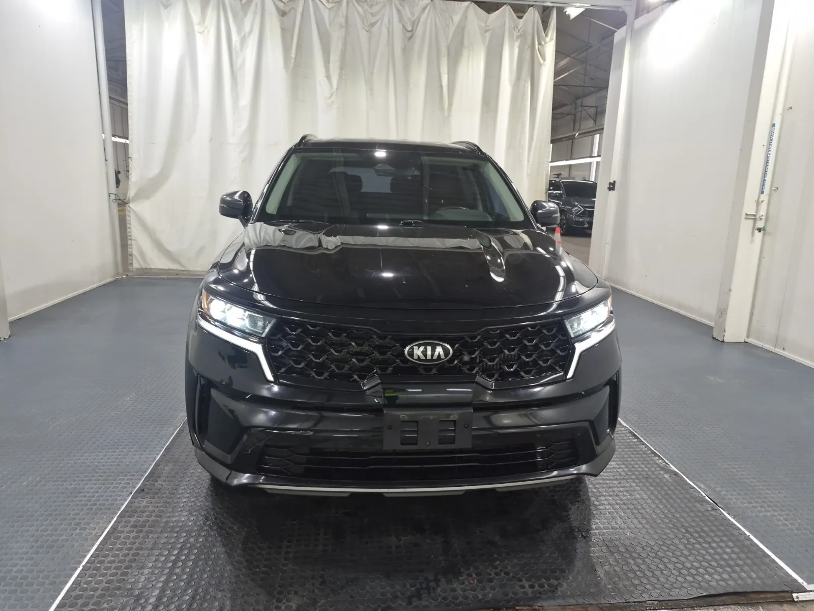 Full Front Photo