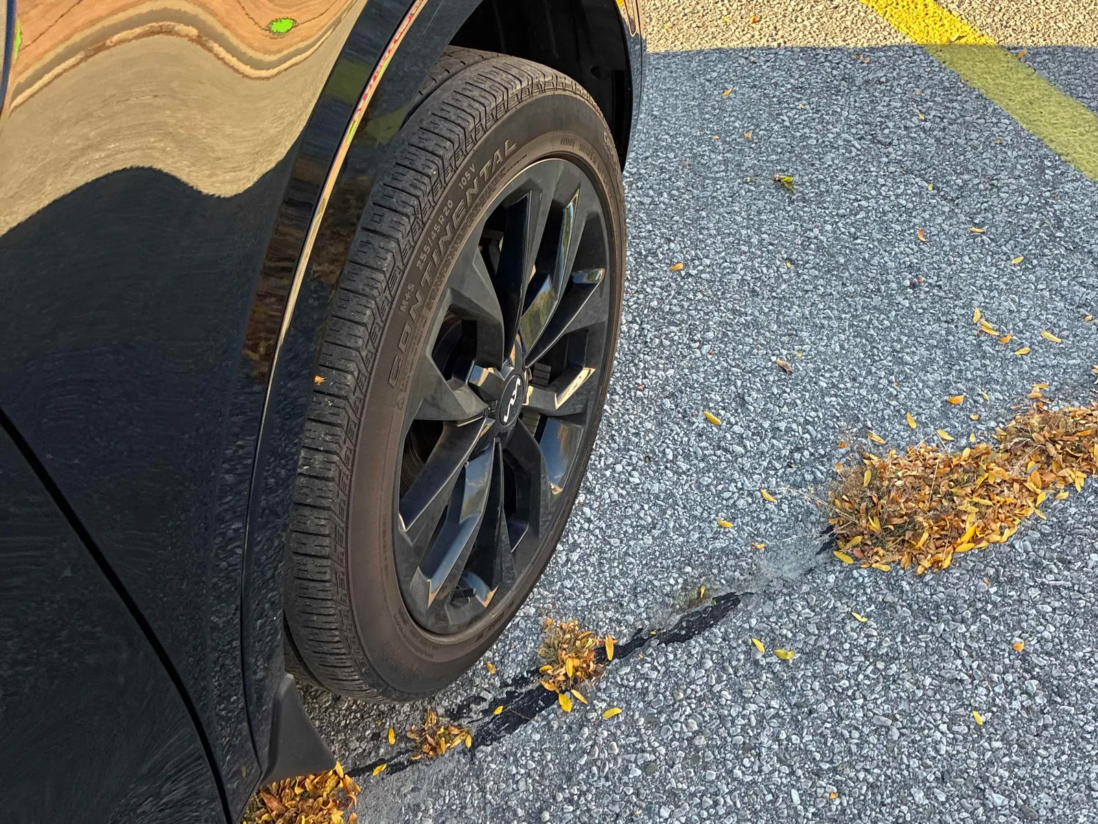Additional Photo